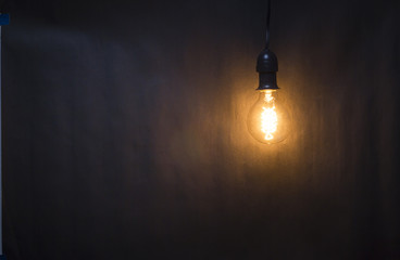 Vintage Lightbulb Hanging