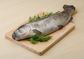 Raw fresh trout