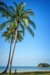 Naklejka premium Tropical beach landscape with palm trees