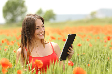 Woman reading ebook in a red field