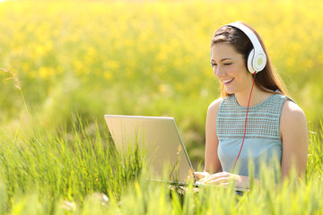 Woman working with a laptop in a field in summer