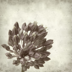 textured old paper background