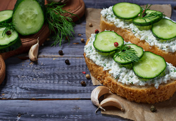 Vegetarian sandwiches with cottage cheese and cucumber