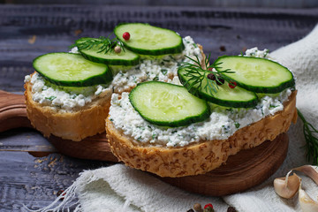 Vegetarian sandwiches with cottage cheese and cucumber