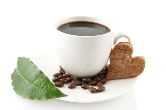 Cup of coffee with saucer with leaf on white