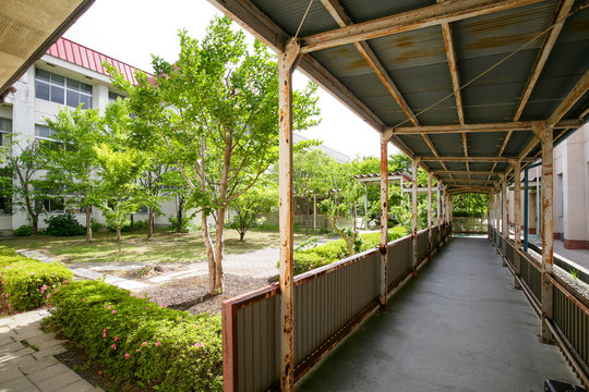 学校の廊下 - Powered by Adobe