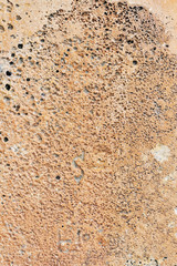 Old wall texture closeup
