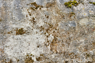 Old wall texture closeup