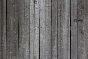 wood texture background - wooden