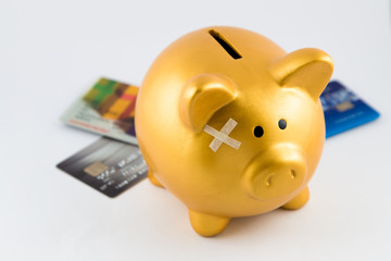 A gold pig got pain from his credit cards' debt