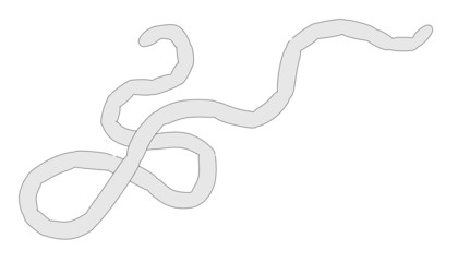 Obraz premium 2d illustration of Ebola Virus