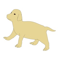 2d illustration of Retriever Puppy
