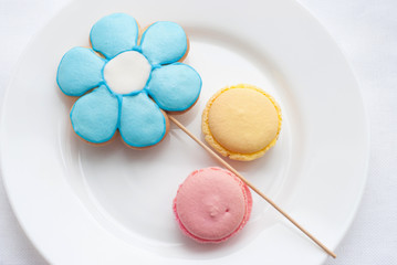 Сolorful macaroon with cookies in shape of flower on the plate