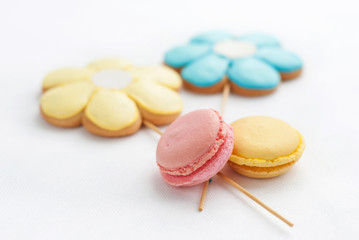 Сolorful macaroon with cookies in shape of flower on the plate