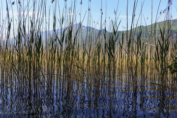 Lac alpin en France