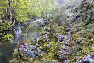 Rio Arenal. Ávila