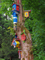Bunte Vogelhäuser
