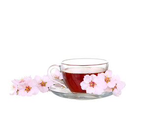 Obraz na płótnie Canvas Cup of tea with a sprig of cherry blossoms isolated on white background.