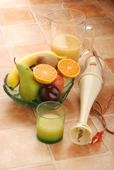 IMMERSION BLENDER WITH FRUIT