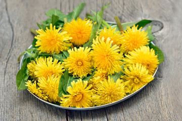 Dandelion heads