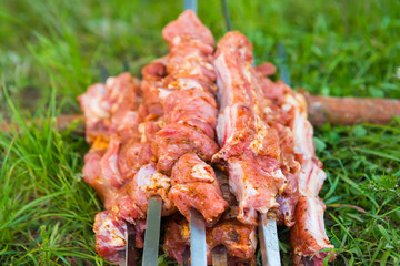 Many skewers with raw shish kebab