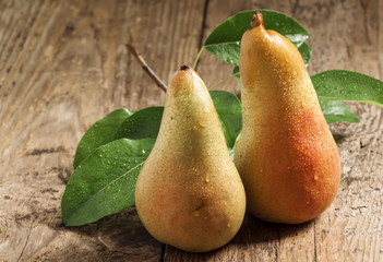 Two ruddy long yellow pears with leaves on the old wooden table,