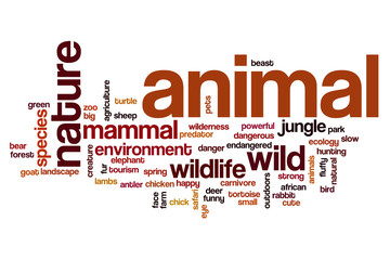 Fototapeta premium Animal word cloud concept