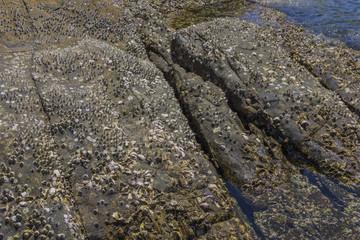 Stone on the island of Koh Racha