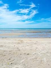 tropical beach in summer