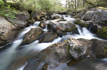 The River Plym. Its source is 450m above sea level on Dartmoor.