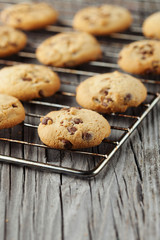 Chocolate chip cookies