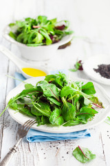 Fresh green salad