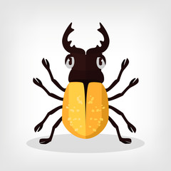 Vector beetle flat illustration