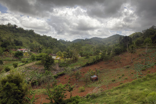 Jamaica Rural Inland
