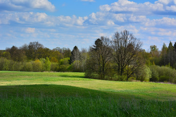 Fototapeta premium Spring landscape