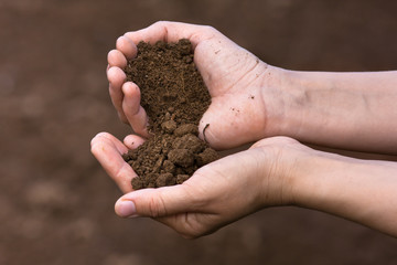 soil in hands