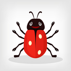 Vector ladybug flat illustration
