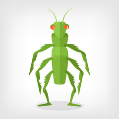 Vector grasshopper flat illustration