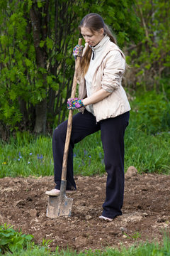 Woman Digging In The Garden