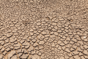Drought cracked soil