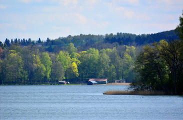 Spring landscape with lake