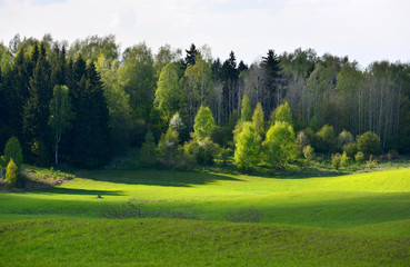 Spring landscape