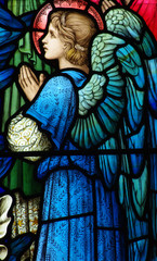 Praying angel in a stained glass window - obrazy, fototapety, plakaty