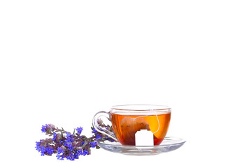 Herbal tea in a glass cup, fresh flowers 