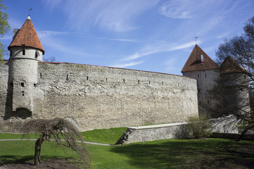 The walls of the old Tallinn - obrazy, fototapety, plakaty