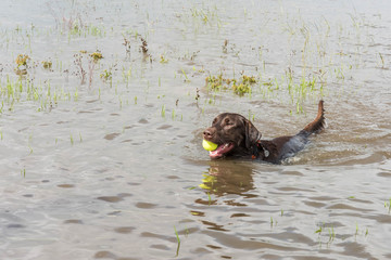 Fototapeta premium standing flood waters following heavy rains in Houston, Texas
