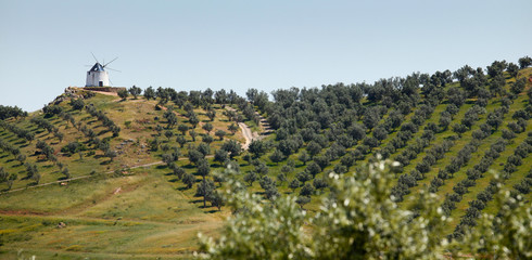 Portugal Alentejo Aljustrel