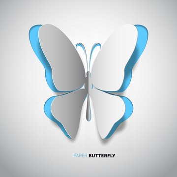 butterfly-paper-new2