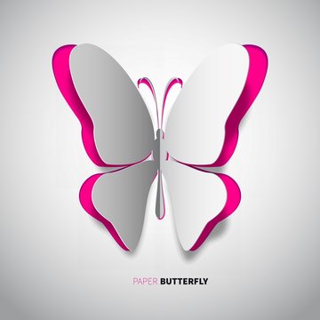 butterfly-paper-new-style1
