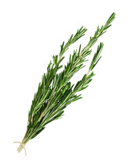 Fresh green a bunch of rosemary sprigs